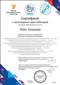 Сертификат о прохождении курса вебинаров на сайте "Воспитатели России"